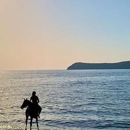 펜션 Sea Sunset View, Walk To The *