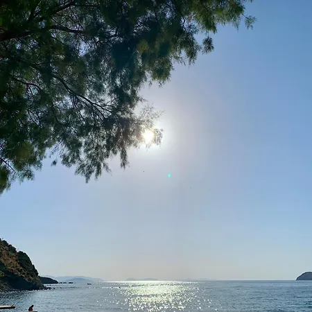 Sea Sunset View, Walk To The *