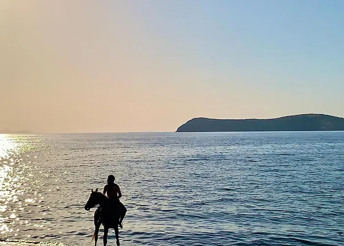 Σπίτι διακοπών Sea Sunset View, Walk To The *